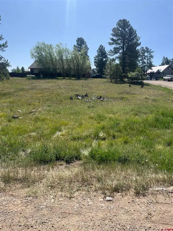 20 La Costa Court, Pagosa Springs, CO 81147