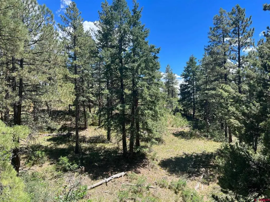 853 Ranchland Drive, Pagosa Springs, CO 81147 - #1