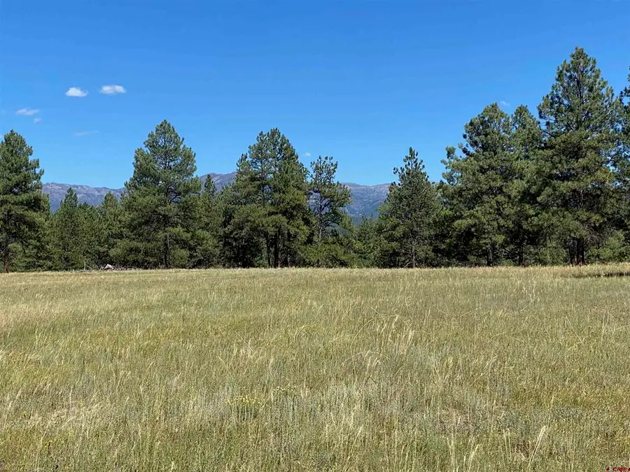 X Rumbaugh Road, Pagosa Springs, CO 81147 - #3