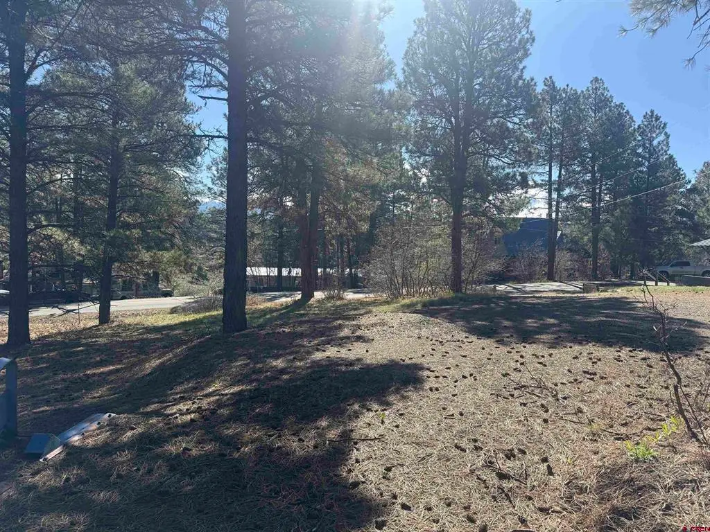 19 Bienvenido Circle, Pagosa Springs, CO 81147 - #1