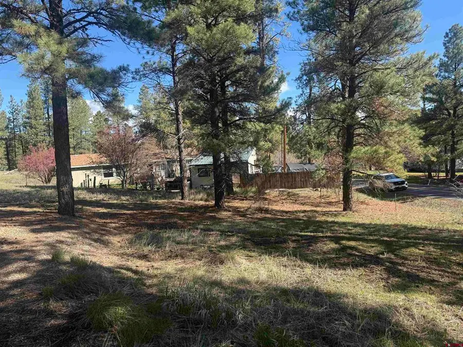 19 Bienvenido Circle, Pagosa Springs, CO 81147 - #3