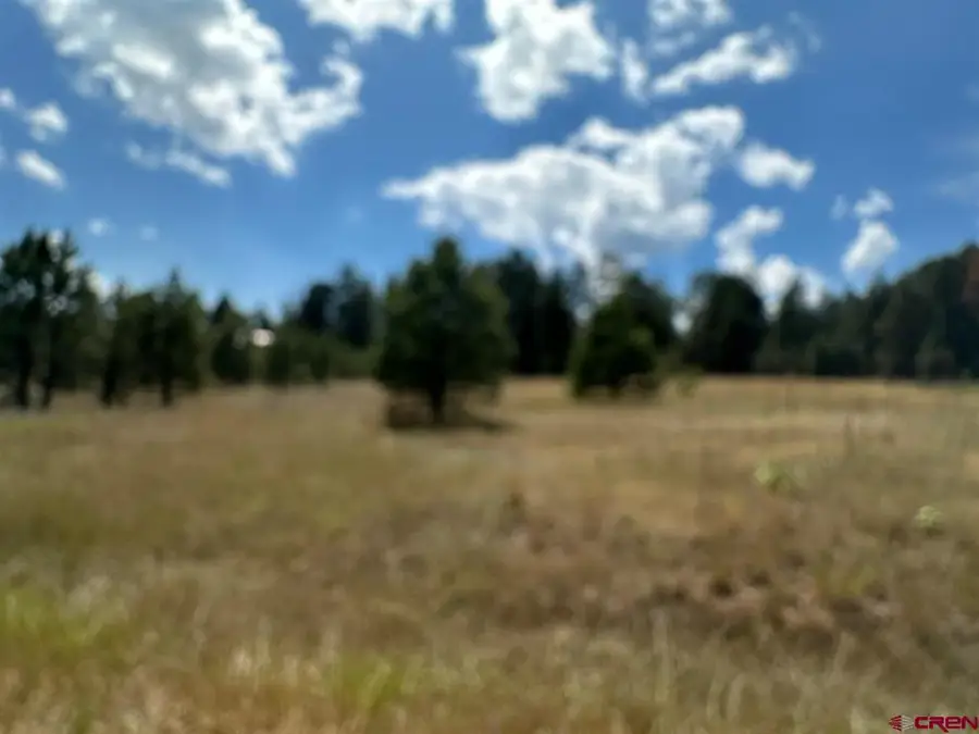 272 Hills Circle, Pagosa Springs, CO 81147 - #2