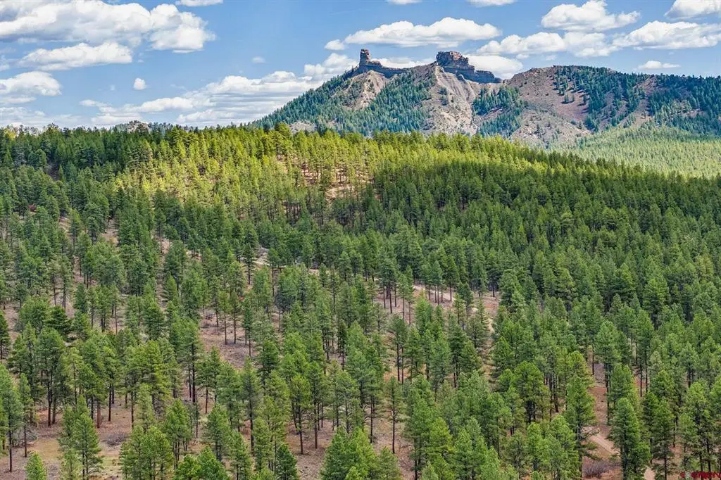 20861 Hwy 160, Bayfield, CO 81122 - #1