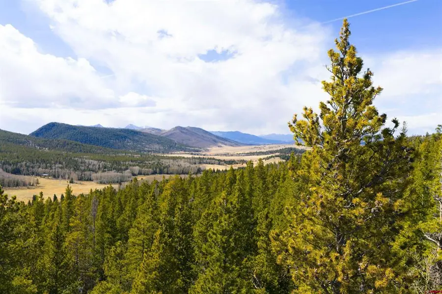 TBD Lot 3170 Purnell Lane, Fort Garland, CO 81133 - #2