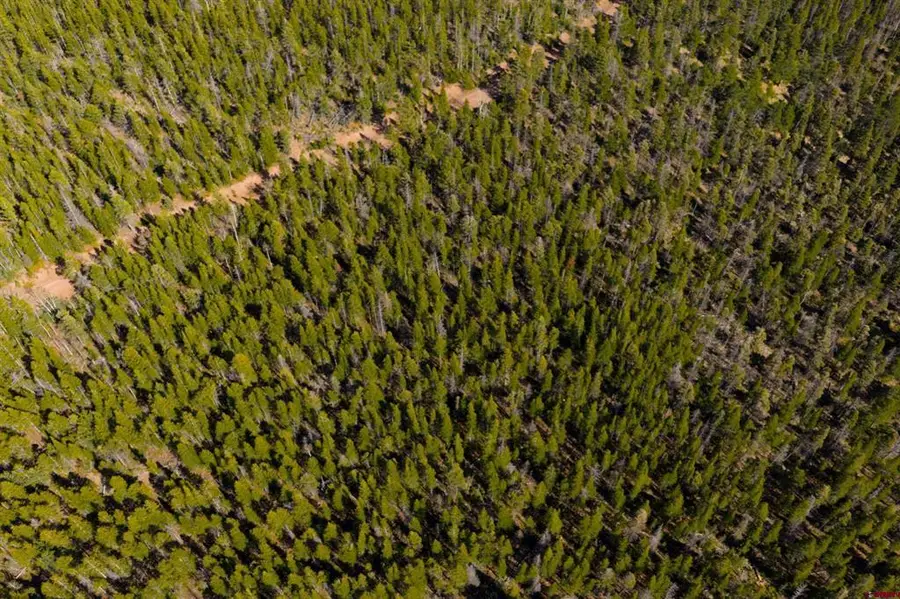TBD Lot 3170 Purnell Lane, Fort Garland, CO 81133 - #3