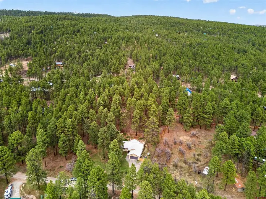 59 E Valley View Drive, Bayfield, CO 81122 - #3