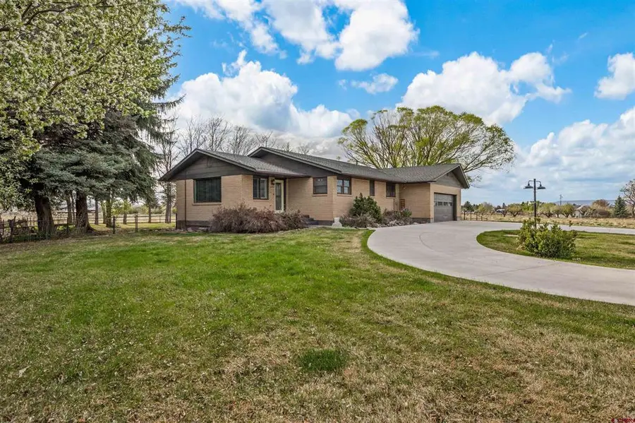 62781 Highway 90, Montrose, CO 81403 - #3