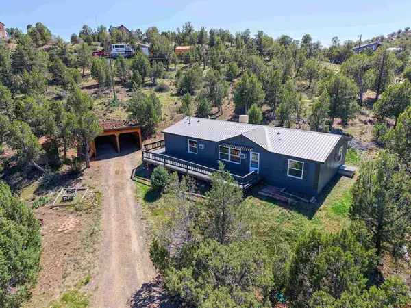 254 Deer Park, Arboles, CO 81121