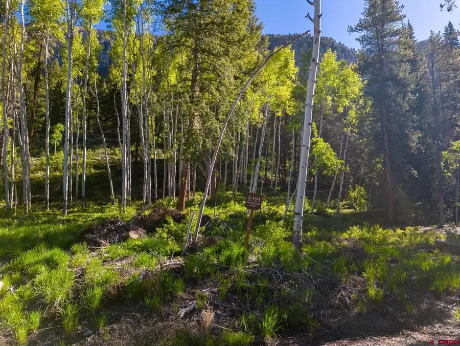 1665 Skyland Drive, Crested Butte, CO 81224 - #3