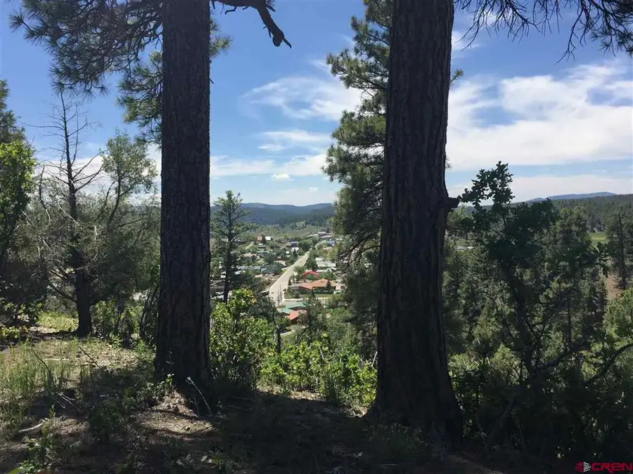 X Berwyn Street, Pagosa Springs, CO 81147 - #3