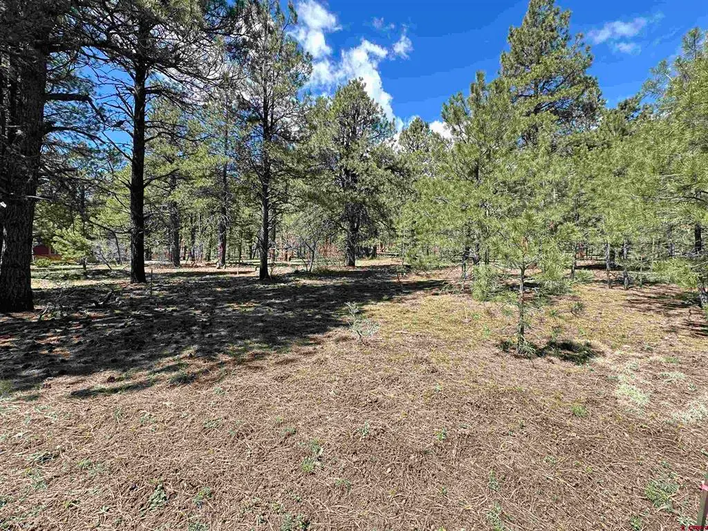39 W Nebo Court, Pagosa Springs, CO 81147 - #1