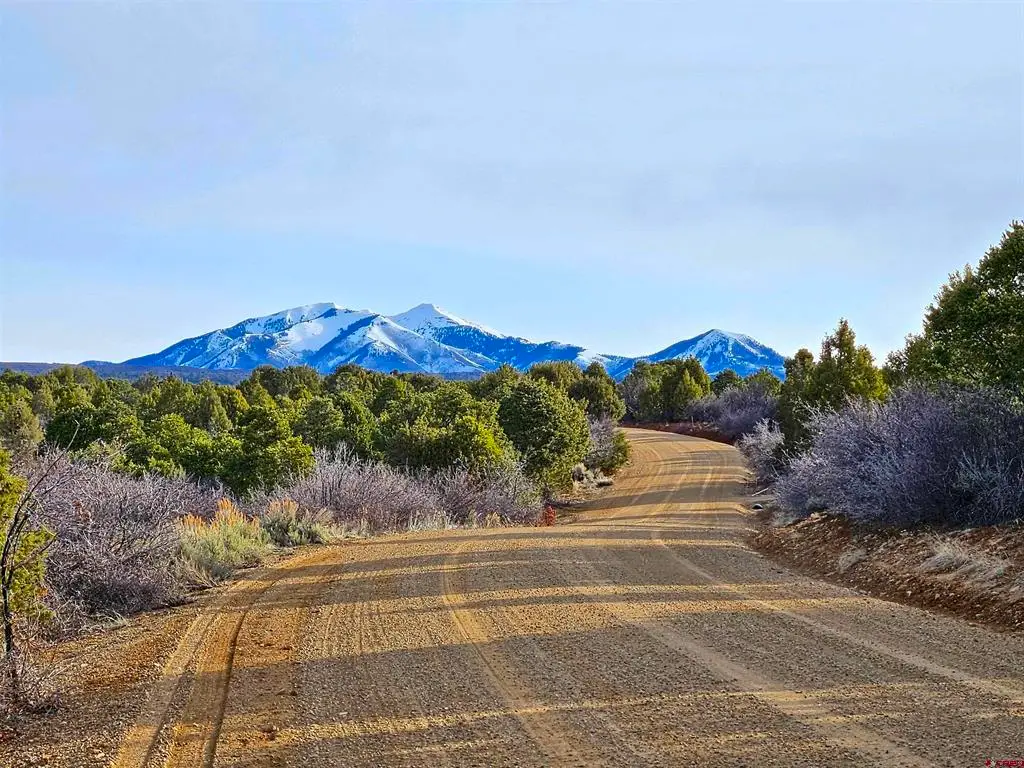 TBD De Oro Way Lot 9, Hesperus, CO 81326 - #1