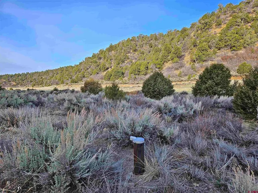 TBD De Oro Way Lot 9, Hesperus, CO 81326 - #3