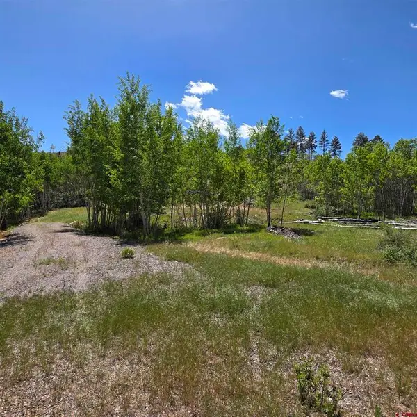 302 Rickel Circle, South Fork, CO 81154