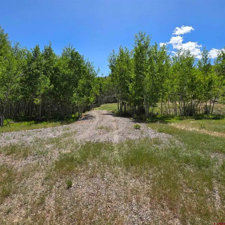 302 Rickel Circle, South Fork, CO 81154 - #2