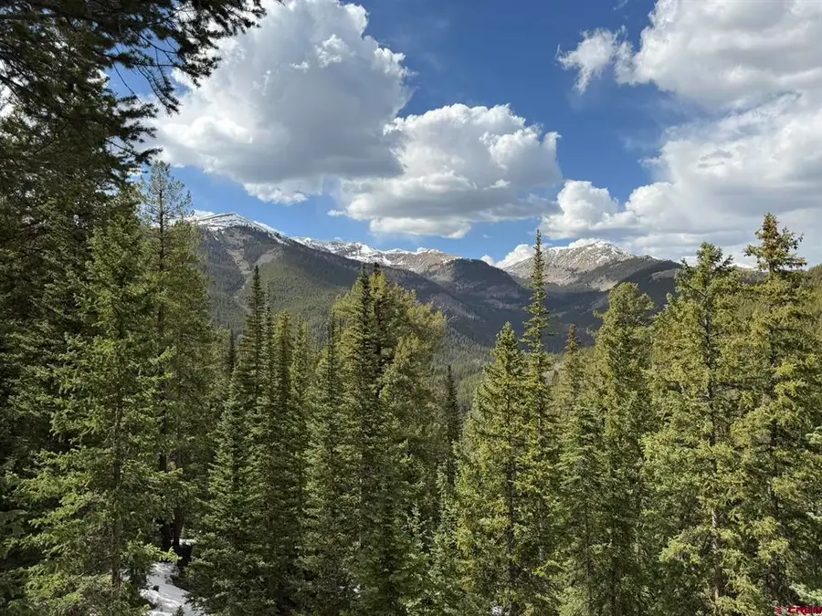 1040 Bronco View Lane, Almont, CO 81230 - #3
