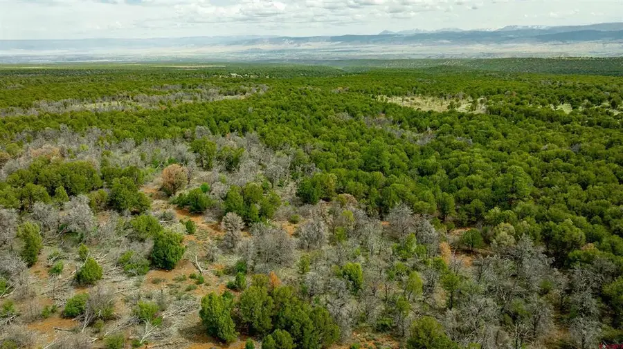 850 Canyon Ridge Road, Montrose, CO 81403 - #3