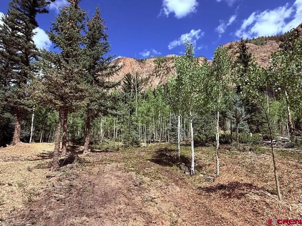 13300 Hinsdale County 30 Road, Lake City, CO 81235 - #1