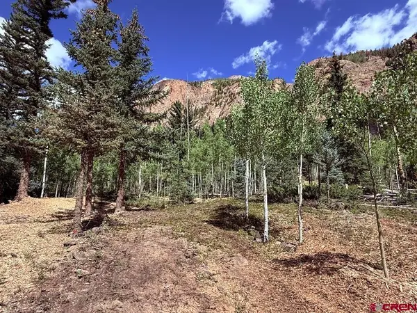 13300 Hinsdale County 30 Road, Lake City, CO 81235