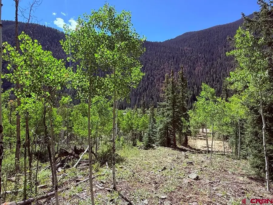13300 Hinsdale County 30 Road, Lake City, CO 81235 - #2