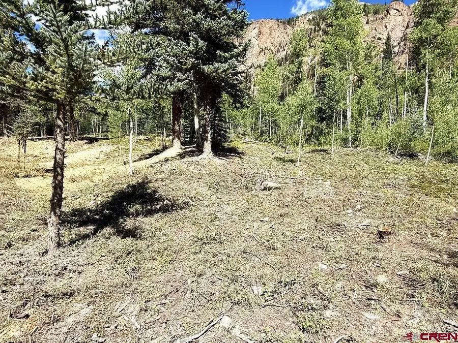 13300 Hinsdale County 30 Road, Lake City, CO 81235 - #3