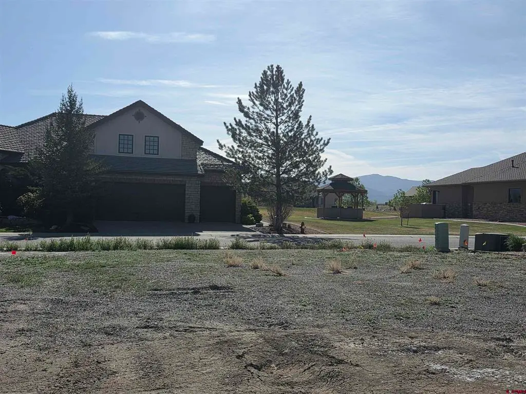 TBD Lot 2603 Bear Lake Drive, Montrose, CO 81401 - #1