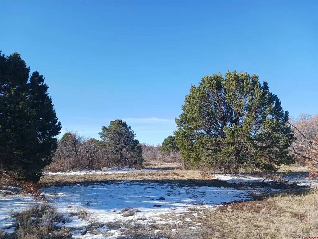 TBD North Avalon Drive, Norwood, CO 81423 - #1