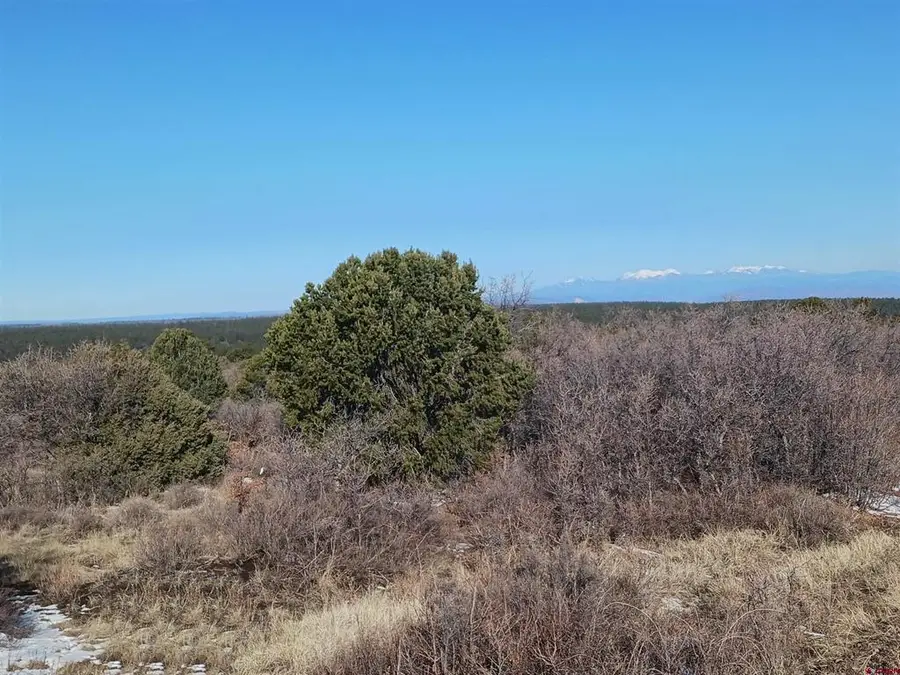 TBD North Avalon Drive, Norwood, CO 81423 - #2