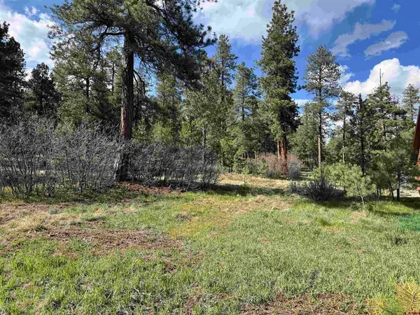 51 Diamond Court, Pagosa Springs, CO 81147