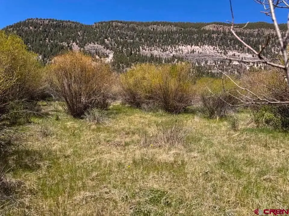Lot 48 Cottonwood Drive, Antonito, CO 81120 - #1