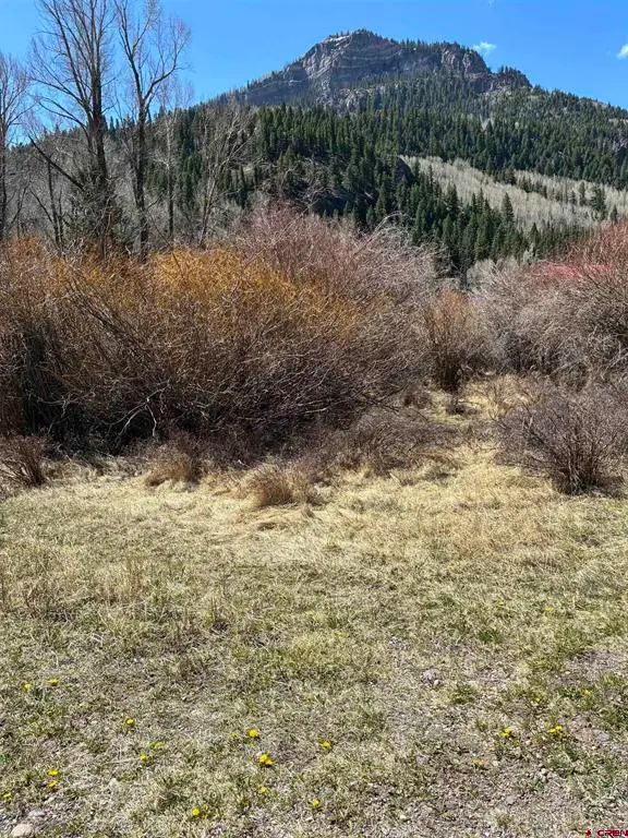 Lot 48 Cottonwood Drive, Antonito, CO 81120