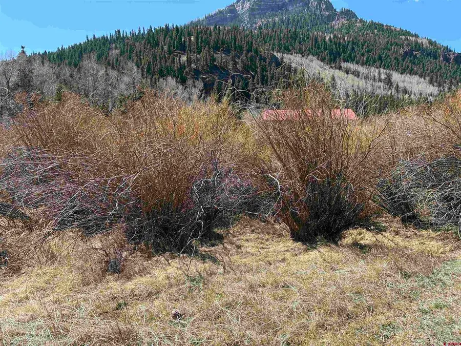 Lot 48 Cottonwood Drive, Antonito, CO 81120 - #3