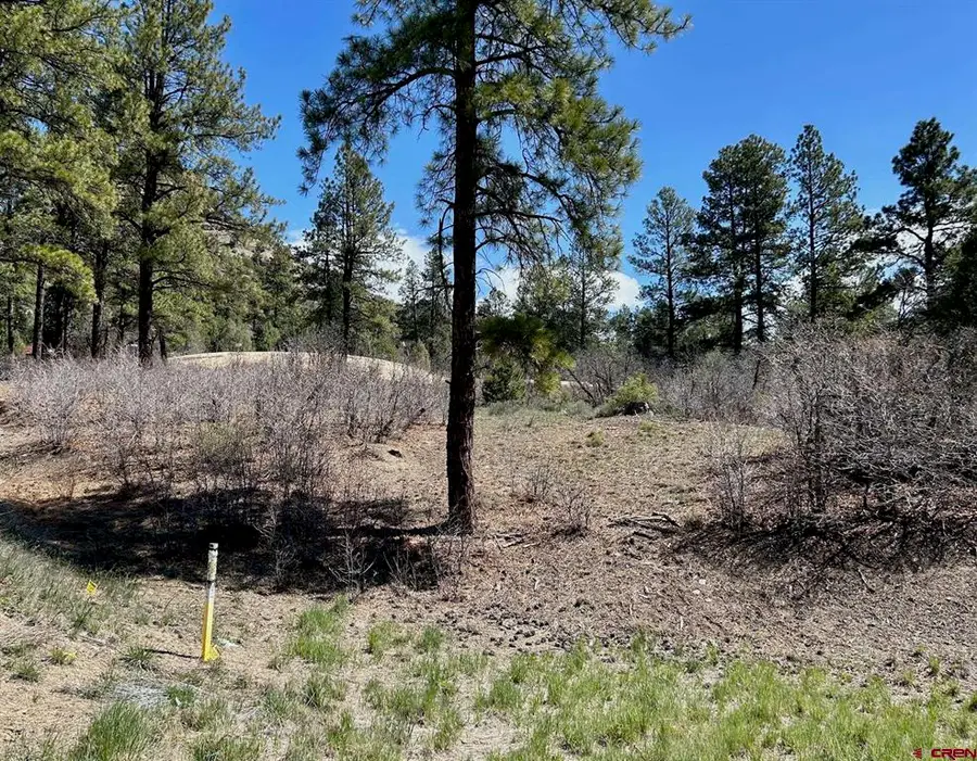 24 Bell Flower Court, Durango, CO 81301 - #2