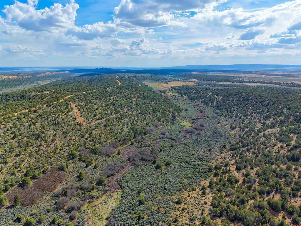 TBD Cr 136, Hesperus, CO 81326 - #1