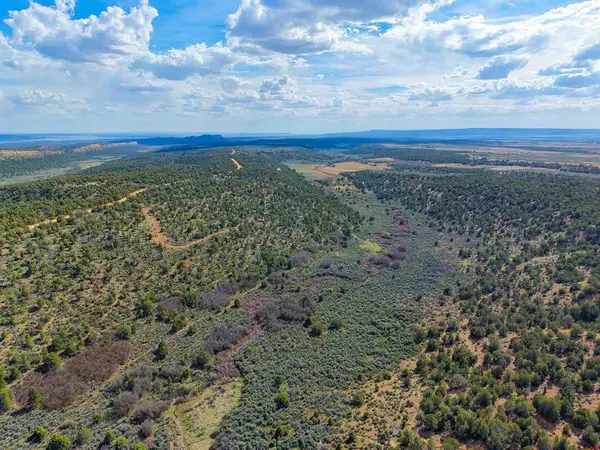 TBD Cr 136, Hesperus, CO 81326