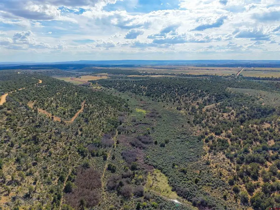 TBD Cr 136, Hesperus, CO 81326 - #3