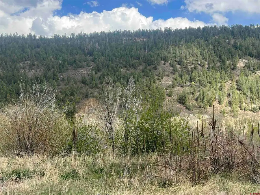 21501 Hwy 145, Dolores, CO 81323 - #2