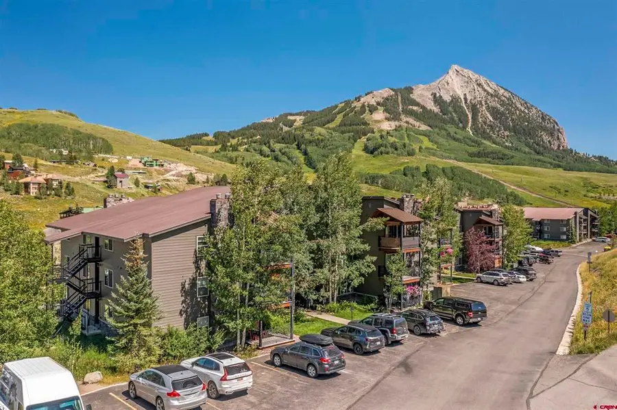 651 Gothic Road #306, Mount Crested Butte, CO 81225 - #3
