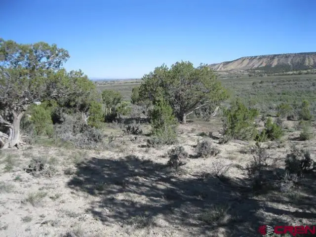 TBD Lot 2 Buckhorn Road, Montrose, CO 81403 - #1