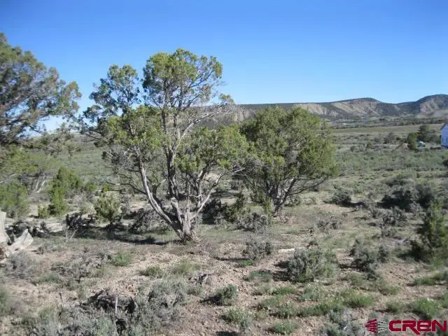 TBD Lot 2 Buckhorn Road, Montrose, CO 81403 - #2