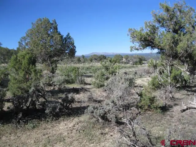 TBD Lot 2 Buckhorn Road, Montrose, CO 81403 - #3