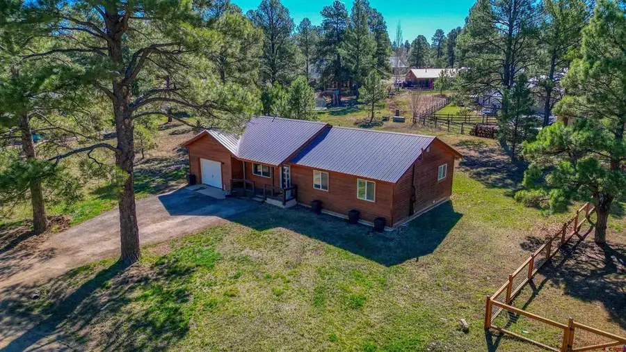 42 W Radiant Court, Pagosa Springs, CO 81147 - #3