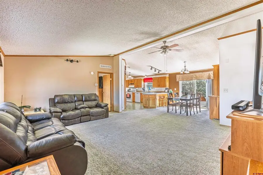 25396 Lone Pine Road, Cedaredge, CO 81413 - #3