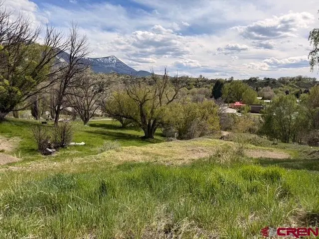 Lot 33 Box Elder Drive, Paonia, CO 81428 - #3