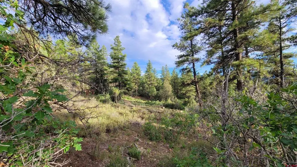 814 Ginger Circle, Pagosa Springs, CO 81147 - #1