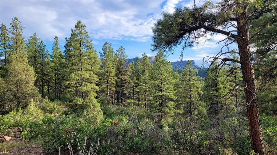 814 Ginger Circle, Pagosa Springs, CO 81147 - #3