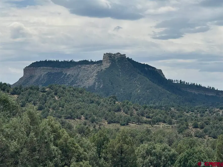2241 S Rockcliff Circle, Pagosa Springs, CO 81147 - #2