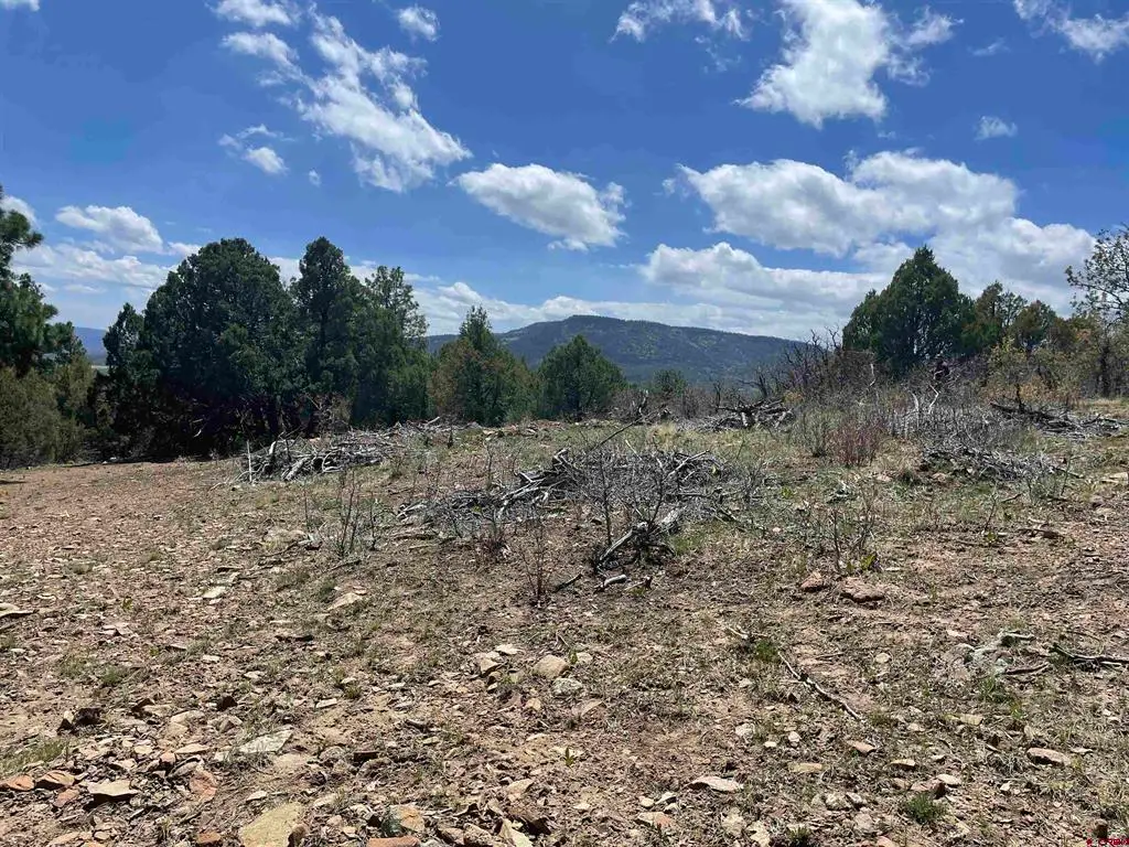1131 Lodge Pole Drive, Pagosa Springs, CO 81147 - #1