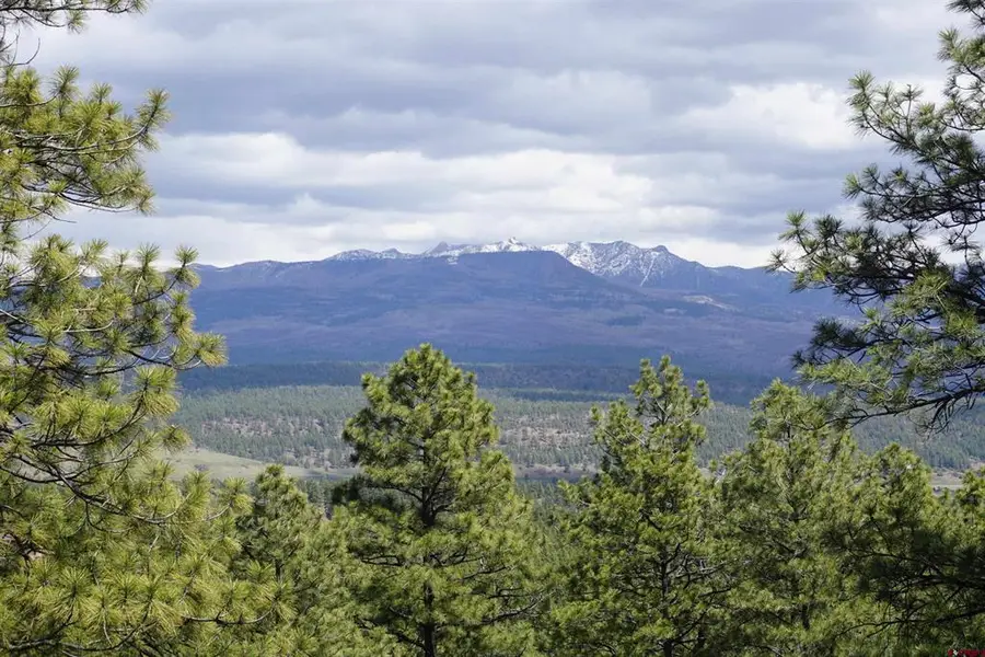 1131 Lodge Pole Drive, Pagosa Springs, CO 81147 - #2