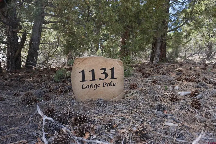 1131 Lodge Pole Drive, Pagosa Springs, CO 81147 - #3
